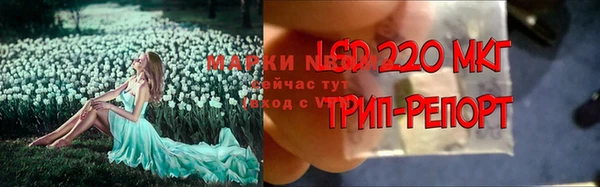 марки lsd Гатчина