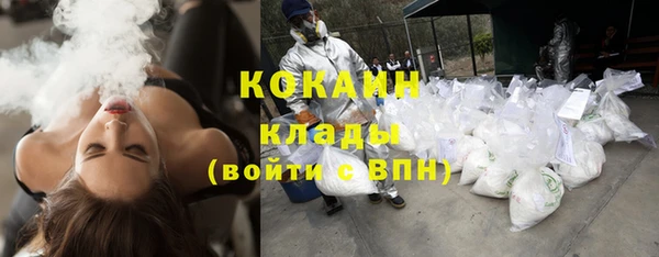 крисы Пестово