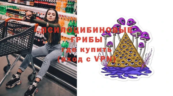 экстази Гвардейск