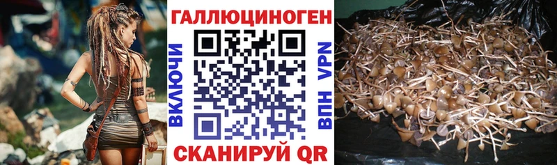купить Ряжск Псилоцибиновые грибы мухоморы